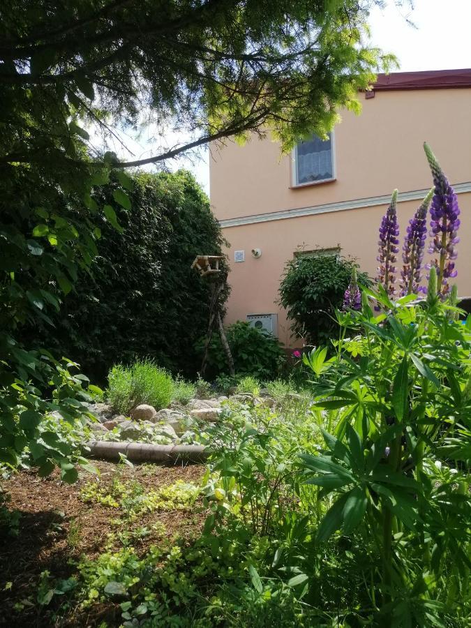 Mv Apartamenty Komfort Augustów Exterior foto